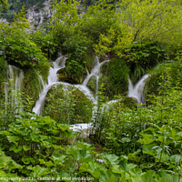 Buy canvas prints of Water flowing through vegetation and over a waterfall at Plitvice Lakes by SnapT Photography