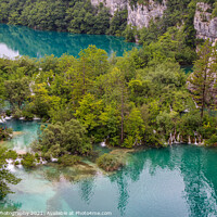 Buy canvas prints of Water flowing through submerged trees between two lakes at Plitvice Lakes by SnapT Photography