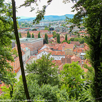 Buy canvas prints of A view through the trees from the view point on Ljubljana Castle, Slovenia by SnapT Photography