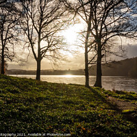 Buy canvas prints of Winter sun breaking through the trees on Loch Ken, a Scottish Loch in Galloway by SnapT Photography