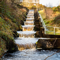 Buy canvas prints of Earlstoun salmon ladder or fish pass, at Earlstoun Power Station by SnapT Photography