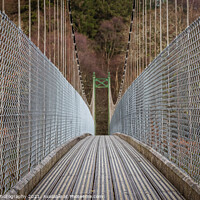 Buy canvas prints of View across a wooden suspension bridge leading into a forest woodland by SnapT Photography