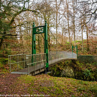 Buy canvas prints of Green suspension bridge over a deep gorge and river in a forest in Scotland by SnapT Photography
