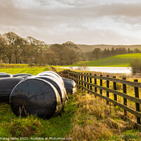 Buy canvas prints of Silage bales beside a wooden fence in a green field, at sunset by SnapT Photography