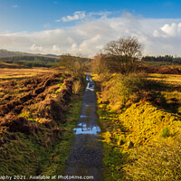 Buy canvas prints of The remains of the old Galloway Railway train line or paddy line at Mossdale by SnapT Photography