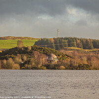 Buy canvas prints of Eco Bothy on Loch Ken, surrounded by woodland, Dumfries and Galloway, Scotland by SnapT Photography