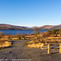 Buy canvas prints of A wooden bench overlooking Clatteringshaws Loch on a sunny winters day by SnapT Photography
