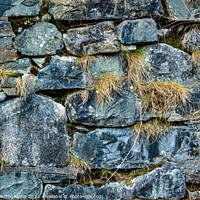 Buy canvas prints of Abstract of an old Scottish drystone wall or dyke, with moss and grass growing by SnapT Photography