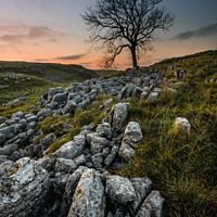Buy canvas prints of Sunrise at Malham cove by James Catley