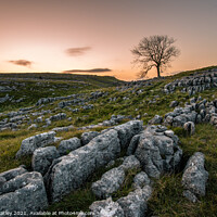 Buy canvas prints of Yorkshire Sunrise by James Catley