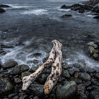 Buy canvas prints of Highland driftwood by James Catley