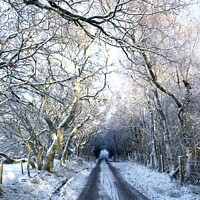 Buy canvas prints of Snowy Drive  by Mark Brock