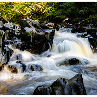 Buy canvas prints of River through the Fairy Glen by Peter Taylor