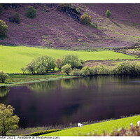 Buy canvas prints of Reflections on Gwynllyn in the Elan Valley by Peter Taylor