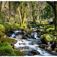 Buy canvas prints of Flowing river by the Minffordd path by Peter Taylor