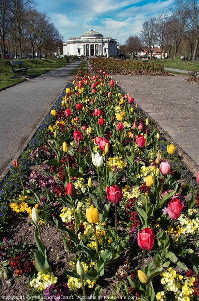 Springtime in Port Sunlight Wirral Picture Board by Phil Longfoot