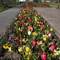 Buy canvas prints of Springtime in Port Sunlight Wirral by Phil Longfoot