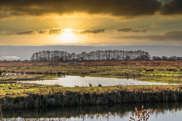 Sunset over the wetlands Picture Board by Phil Longfoot