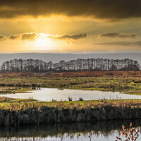Buy canvas prints of Sunset over the wetlands by Phil Longfoot