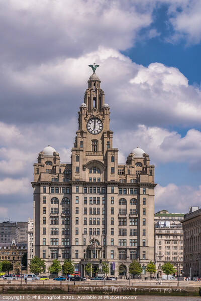 Royal Liver Building Liverpool  Picture Board by Phil Longfoot