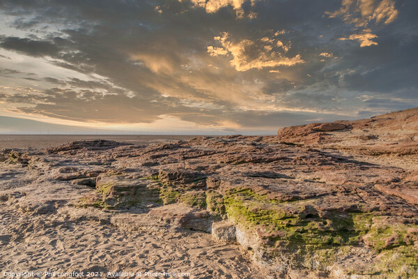 Red Rocks Coastal Reserve Wirral England Picture Board by Phil Longfoot