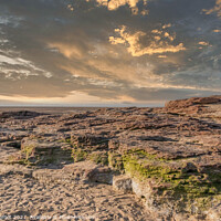 Buy canvas prints of Red Rocks Coastal Reserve Wirral England by Phil Longfoot