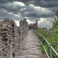 Buy canvas prints of Conway Castle Wall Wales by Phil Longfoot
