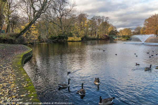 Newsham Park Lake Liverpool  Picture Board by Phil Longfoot