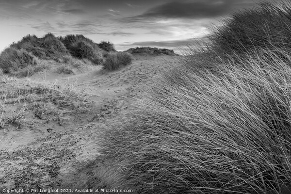 Winter sand dunes  Picture Board by Phil Longfoot