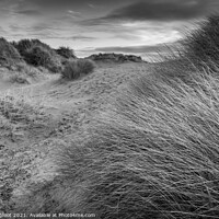 Buy canvas prints of Winter sand dunes  by Phil Longfoot
