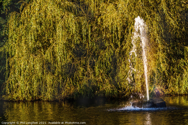 Beautiful fountain in a Liverpool park Picture Board by Phil Longfoot