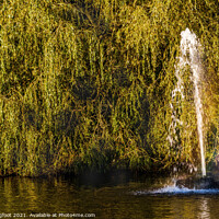 Buy canvas prints of Beautiful fountain in a Liverpool park by Phil Longfoot