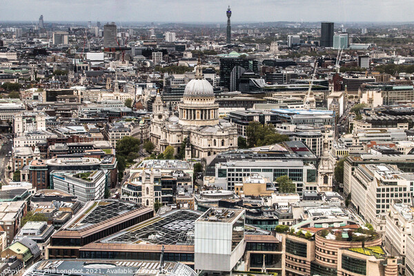 City of London from the Sky Garden Picture Board by Phil Longfoot