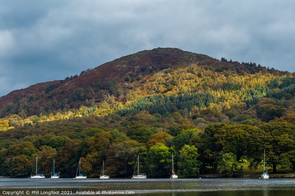 Landscape beauty around Lake Windermere Picture Board by Phil Longfoot