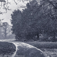 Buy canvas prints of Winter is here by Phil Longfoot