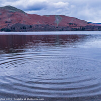 Buy canvas prints of Derwentwater Lake and Catbells mountain range  by Phil Longfoot