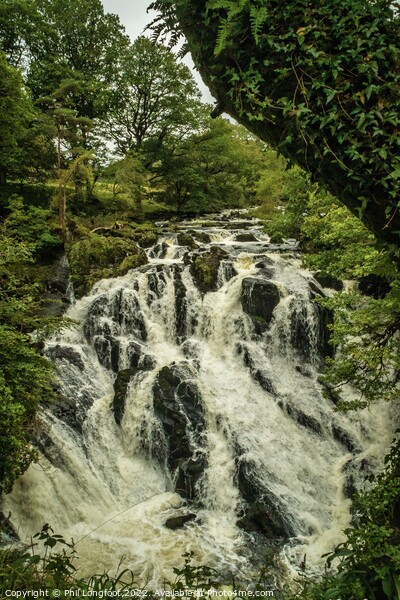 Swallow Falls Snowdonia  Picture Board by Phil Longfoot