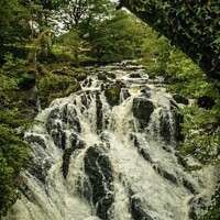 Buy canvas prints of Swallow Falls Snowdonia  by Phil Longfoot
