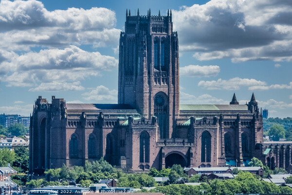 Liverpool Cathedral  Picture Board by Phil Longfoot