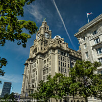 Buy canvas prints of Royal Liver and Cunard Building Liverpool by Phil Longfoot