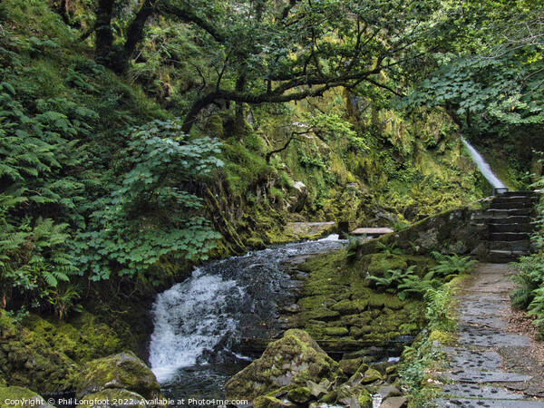 Ceunant Mawr Waterfall Llanberis Snowdonia  Picture Board by Phil Longfoot