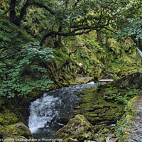Buy canvas prints of Ceunant Mawr Waterfall Llanberis Snowdonia  by Phil Longfoot