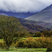 Buy canvas prints of The mountains of Bethesda North Wales by Phil Longfoot