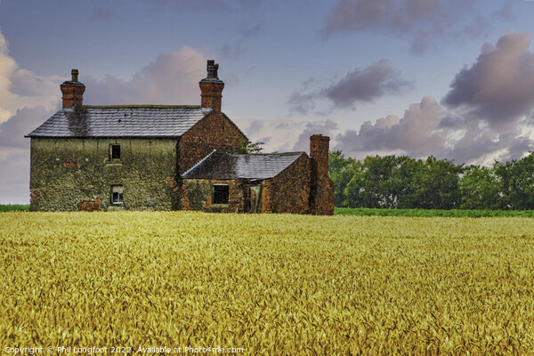 Cornfield cottage Lancashire Picture Board by Phil Longfoot