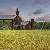 Buy canvas prints of Cornfield cottage Lancashire by Phil Longfoot