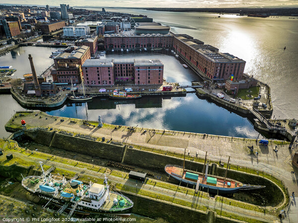 Royal Albert Dock docklands from the air Picture Board by Phil Longfoot