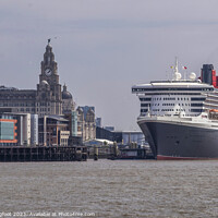 Buy canvas prints of The majestic Queen Mary 2 berthed in Liverpool  by Phil Longfoot