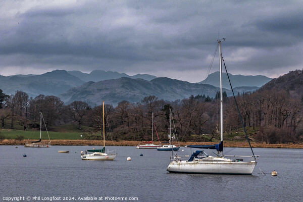 North Shore of Lake Windermere near Ambleside Cumbria  Picture Board by Phil Longfoot