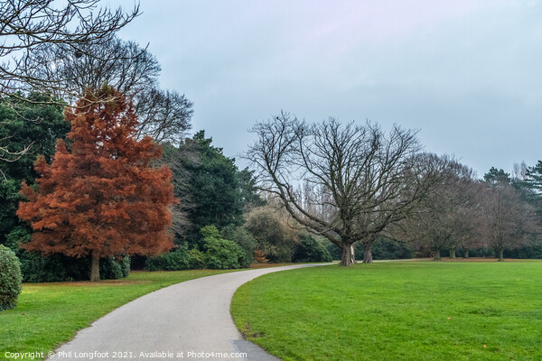 Autumnal scene in a Liverpool Park Picture Board by Phil Longfoot