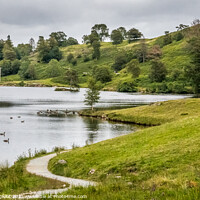 Buy canvas prints of Tarn Hows South Lakes Cumbria  by Phil Longfoot